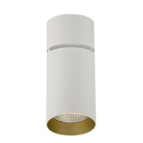 DL300044  Eos A 20, 20W White & Gold Surface LED Spotlight 1480lm 40° 2700K IP20